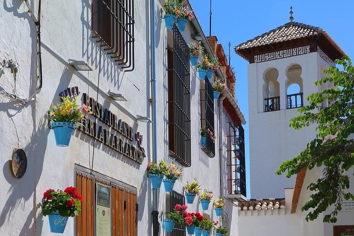 Granada's Heritage Private Tour of Albaicín,Sacromonte & Sagrario - Image 1