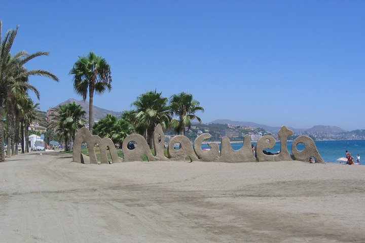 Private 9-hour Shore Excursion from Motril Cruise Port to Malaga - Image 4