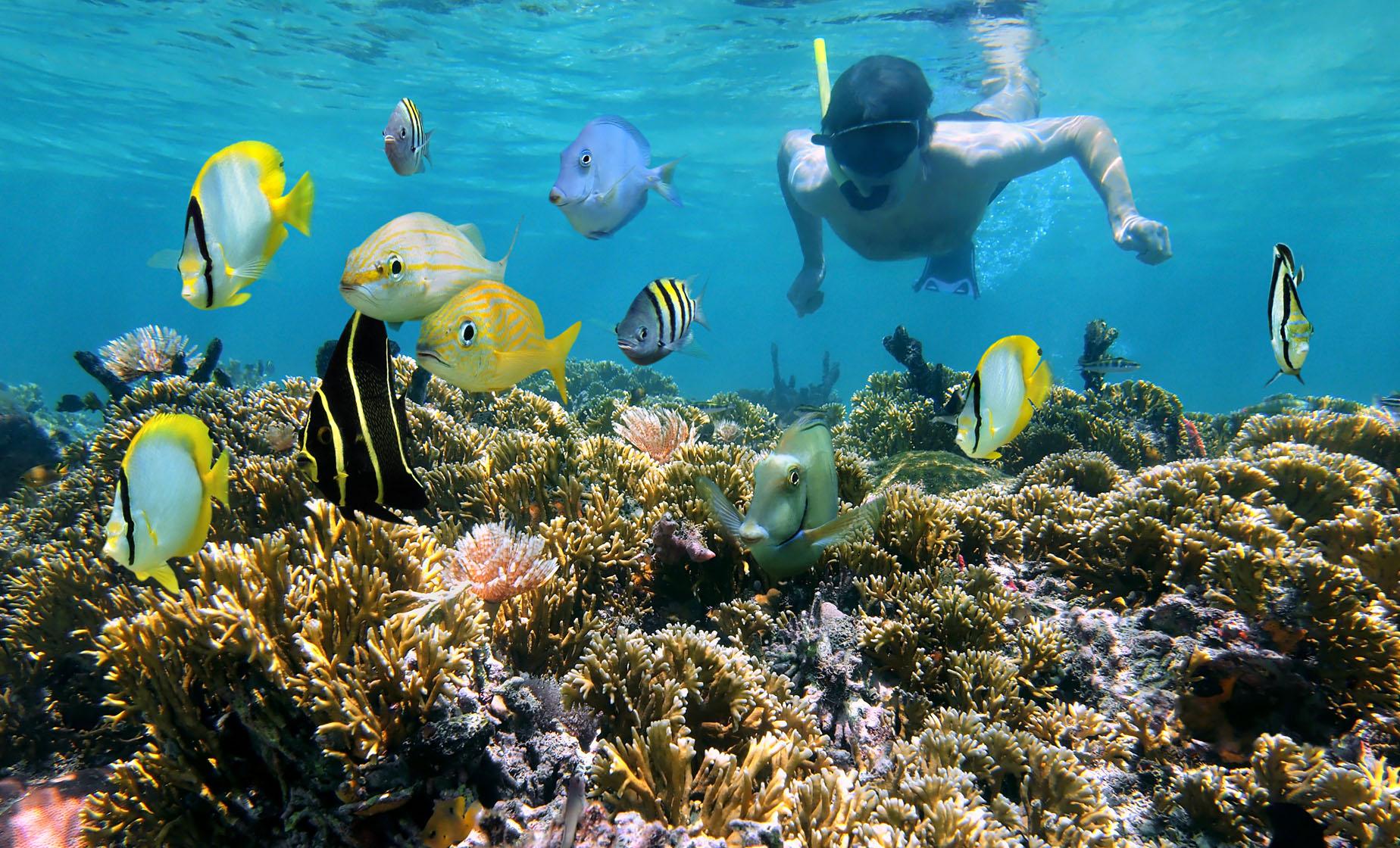 Private Gibbs Cay and Snorkel Charter - Image 1