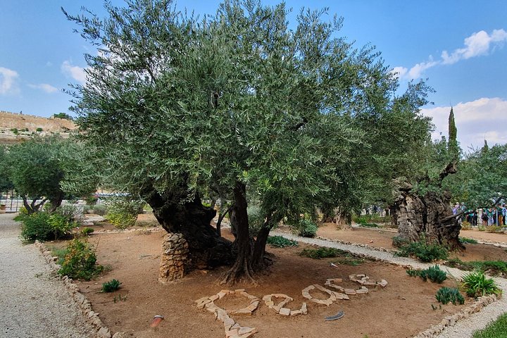 Holy Land Gateway: Haifa Port to Jerusalem & Bethlehem - Image 3