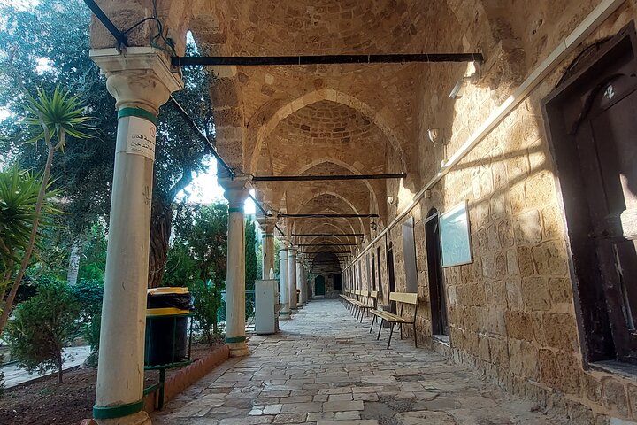 Northern Highlights - From the Sea of Galilee to The Golan Heights - Image 5