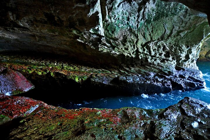 Sea Caves and Ancient Ruins Rosh HaNikra and Acre Private Tour - Image 5