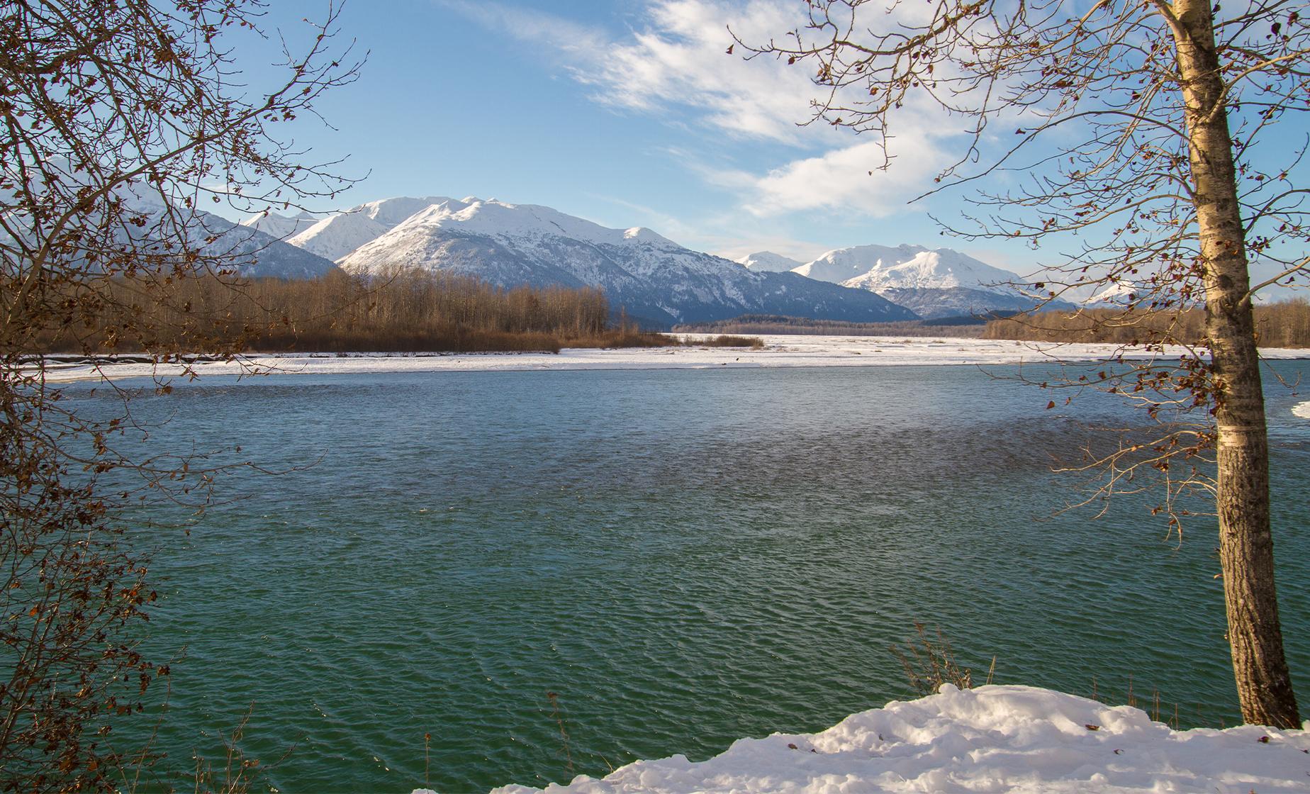 Chilkat Coastal Hike - Image 1