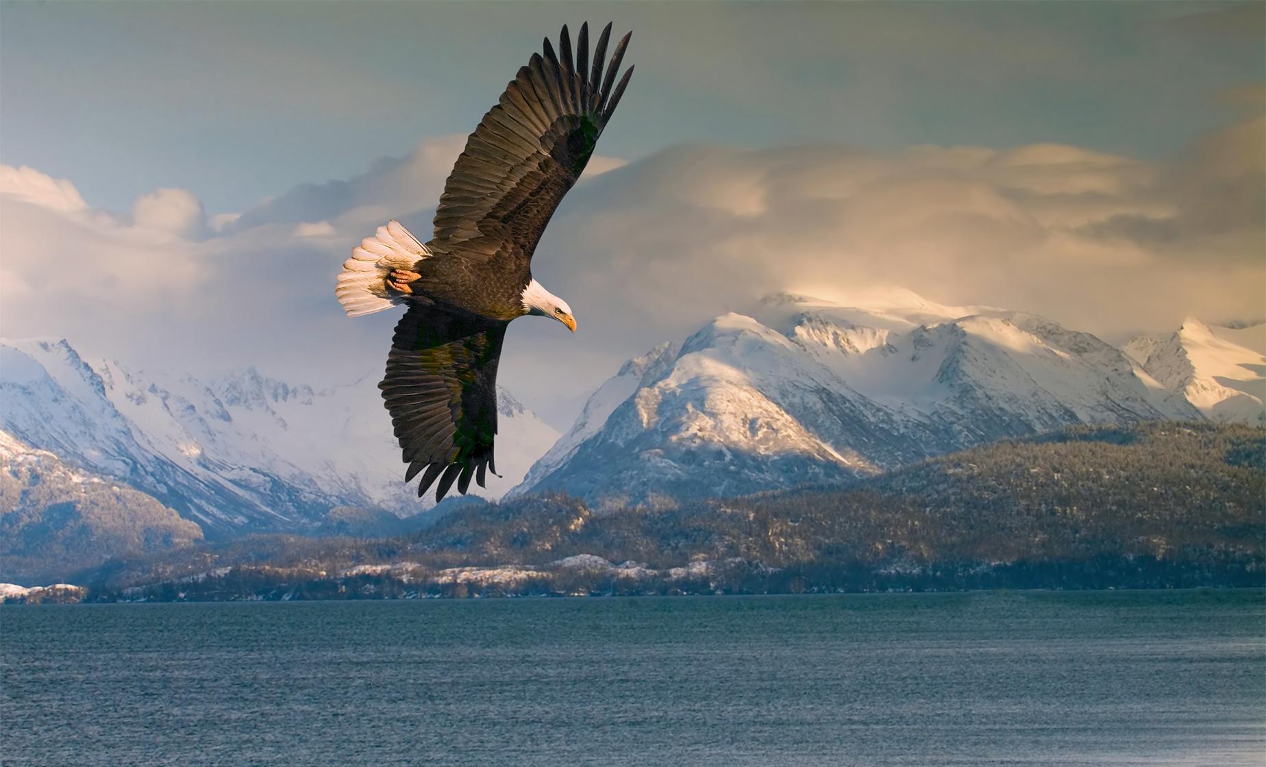 Private Chilkat Bald Eagle Preserve Rafting in Haines - Image 1