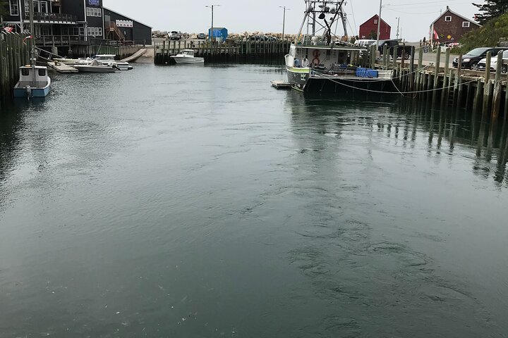 Bay of Fundy / Hall's Harbour - Image 5