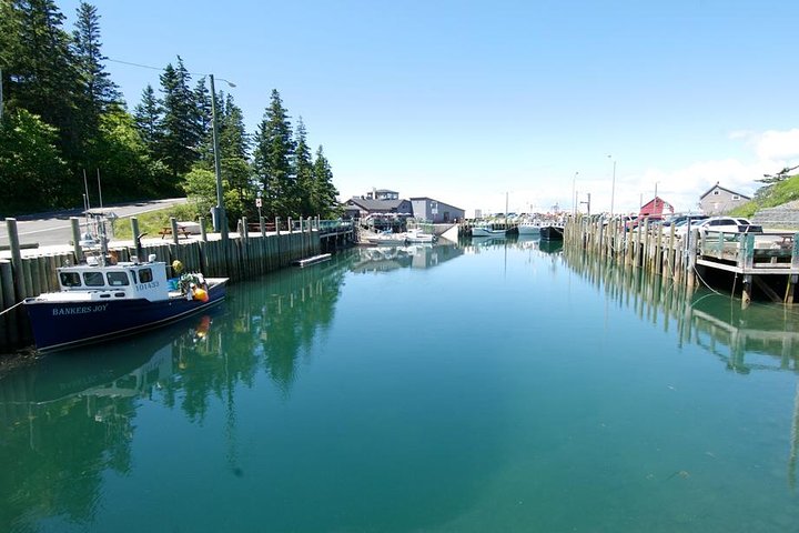 Bay of Fundy / Hall's Harbour - Image 4