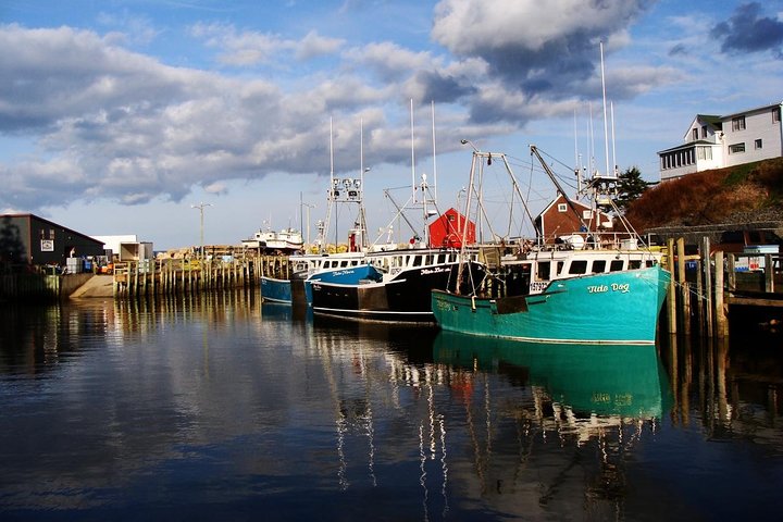 Bay of Fundy / Hall's Harbour - Image 3