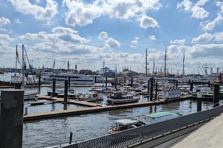 Hamburg for explorers, city tour in a first class van - Image 4