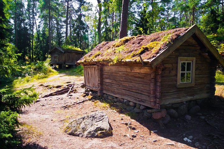 Helsinki and Seurasaari Open-Air Museum Private Tour - Image 1