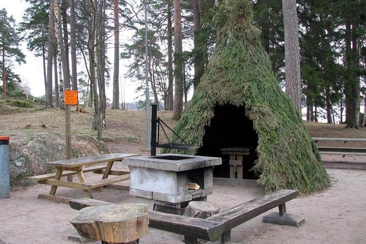 Сity tour in Helsinki and Seurasaari island by VIP car with private guide - Image 5