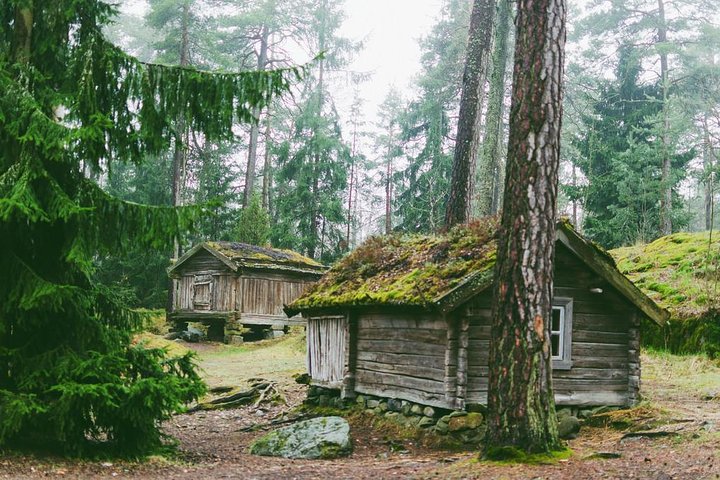 Сity tour in Helsinki and Seurasaari island by VIP car with private guide - Image 1