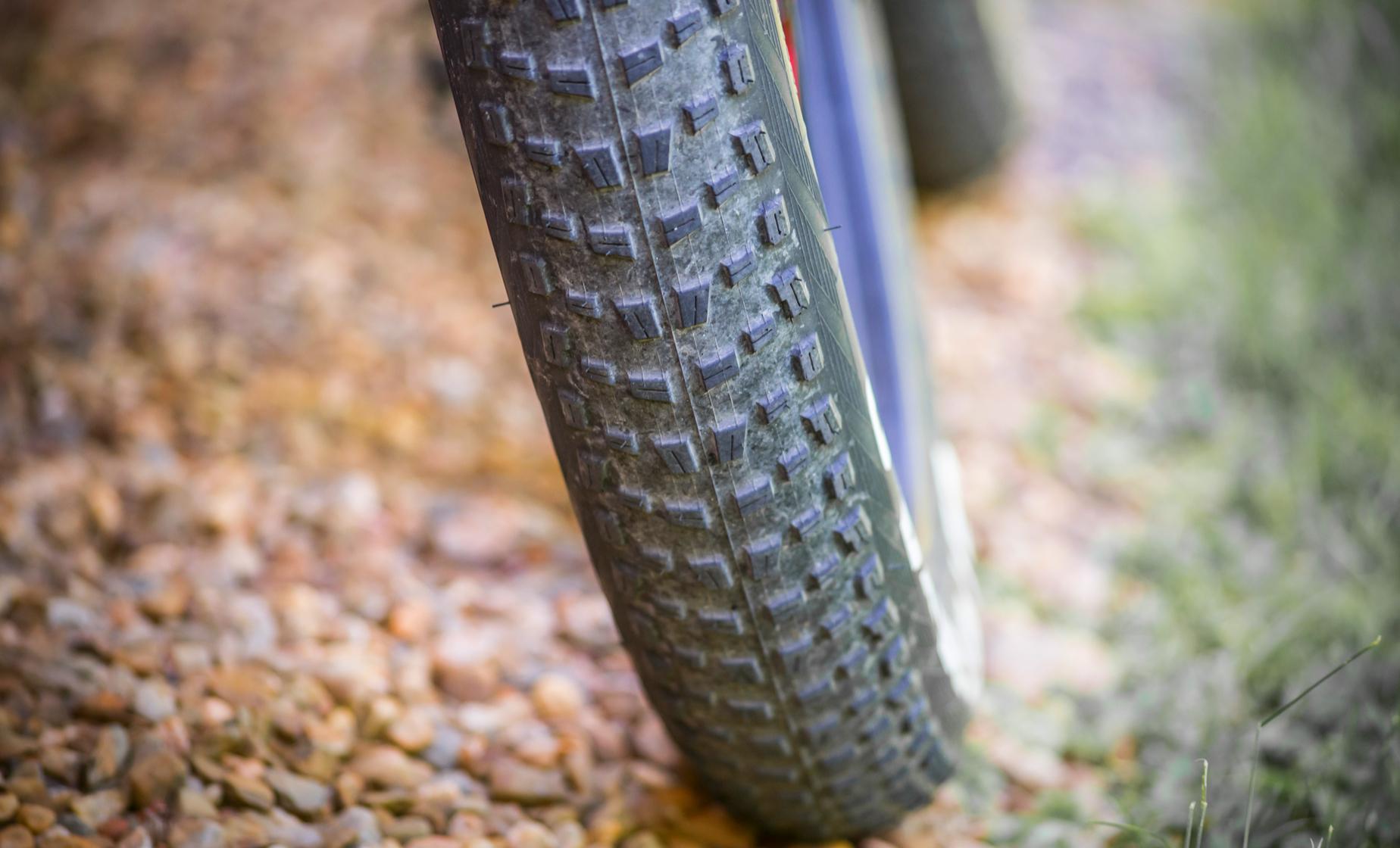 Private Helsinki Nature by Fatbike - Image 1