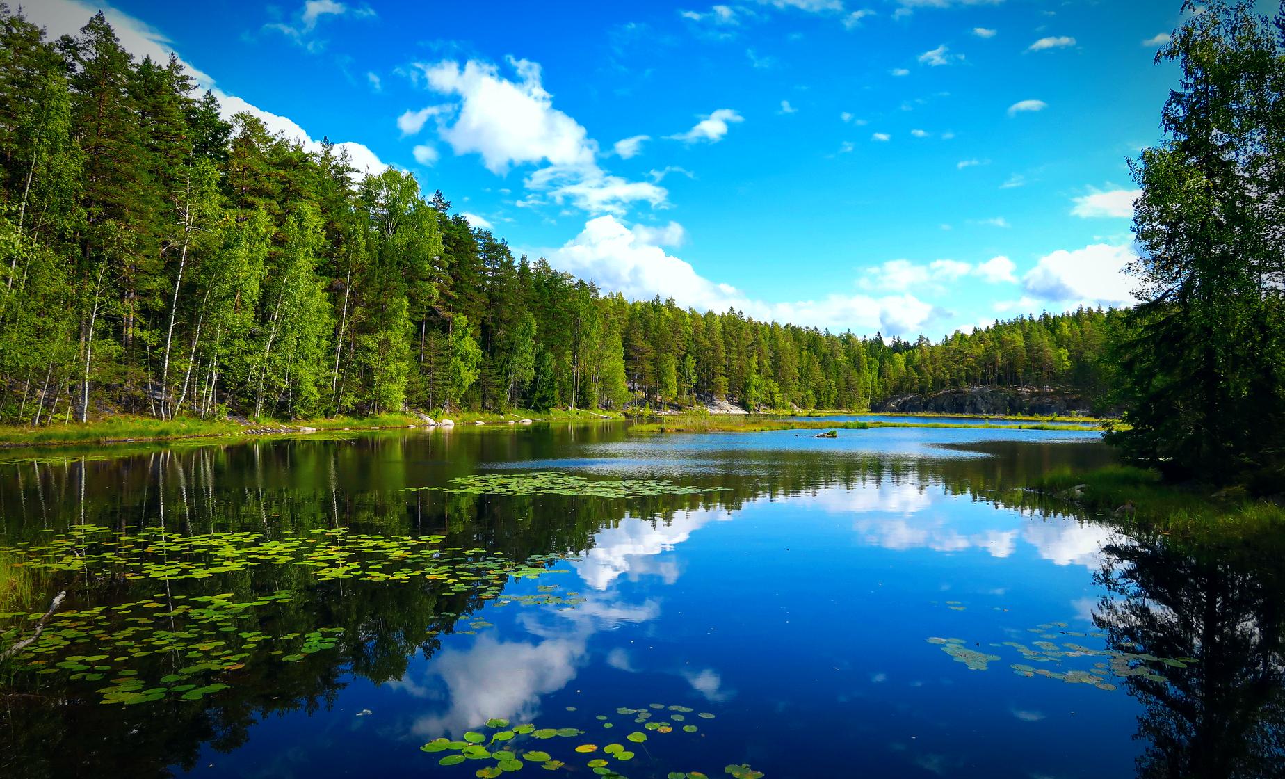 Private Nuuksio Forest Lake Walk - Image 1