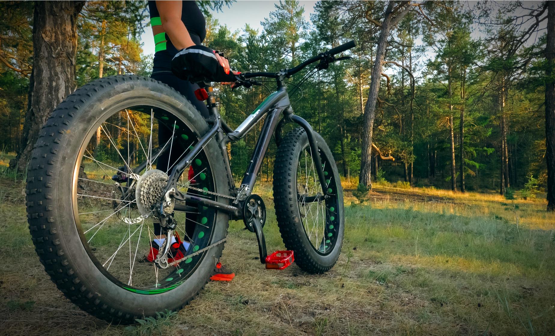 Private Nuuksio Nature by Fatbike - Image 1