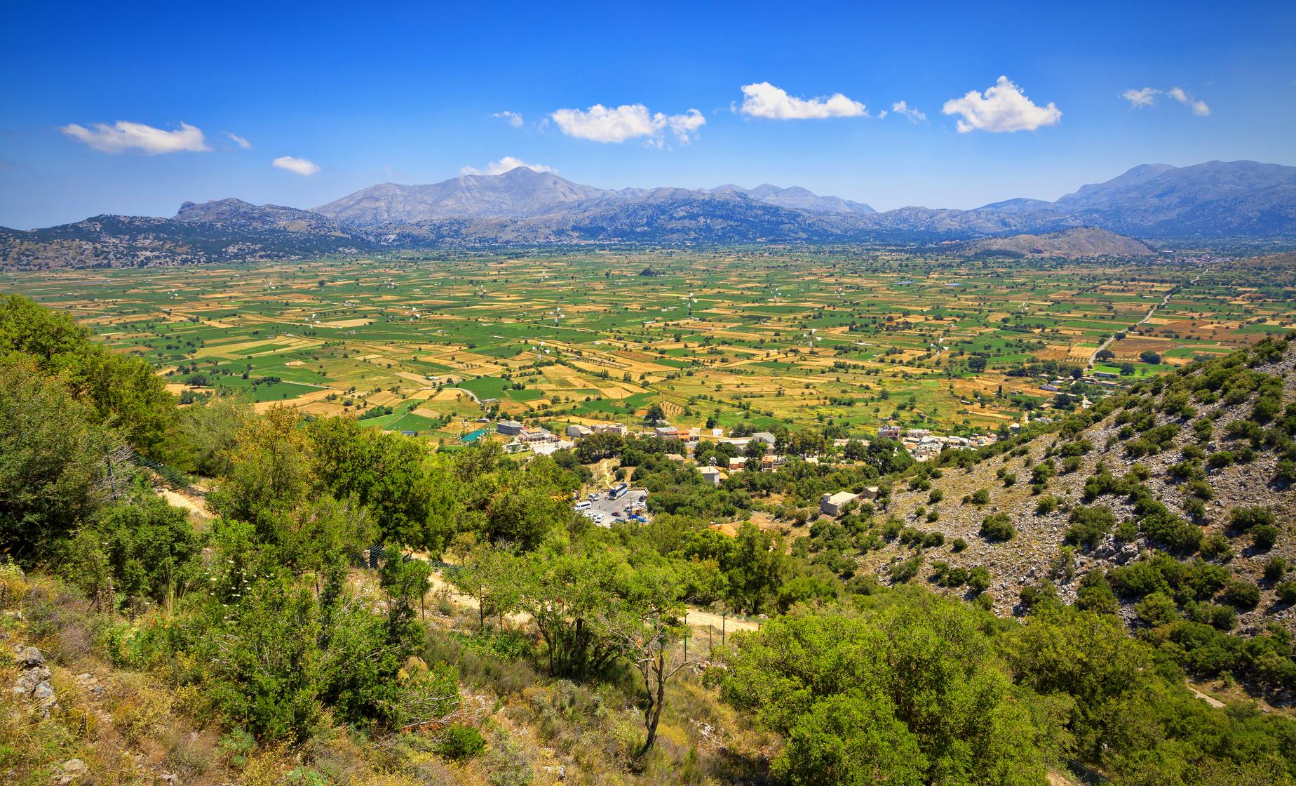 Private Tour to the Lassithi Plateau, Cave of Zeus and Lassinthos - Image 1