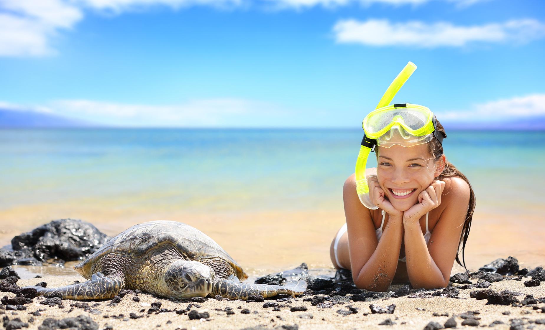 Beach Snorkel at Black Sand Lagoon with Turtles - Image 1