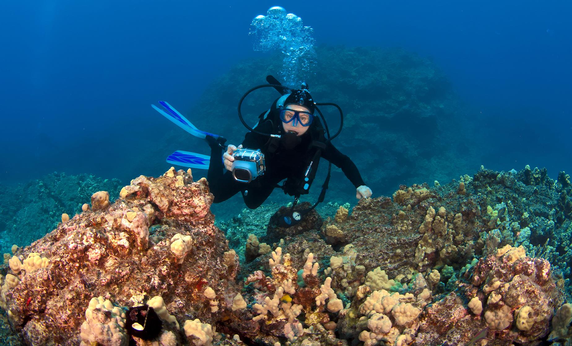 Certified 2 Tank Boat Dive - Image 1