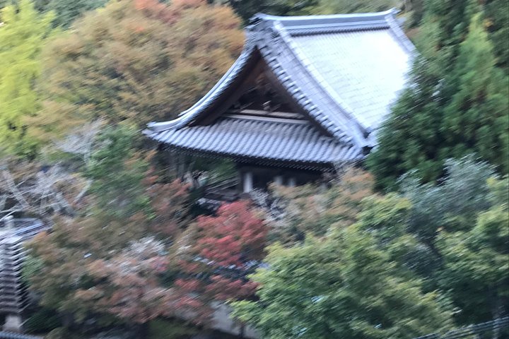 A Chauffeur Driven Tour: Hiroshima & Miyajima, Temple Gardens - Image 4