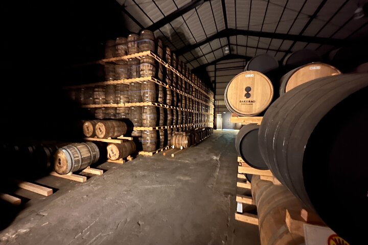 Private Historic and Distillery Chauffeured Tour in Hiroshima - Image 4