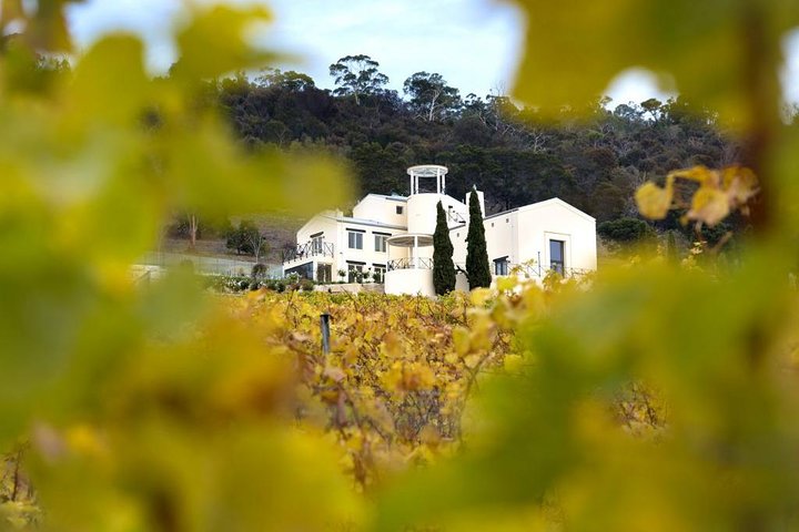 7- 8 Hour StelaVino Guided Wine Tours From Hobart - Image 3