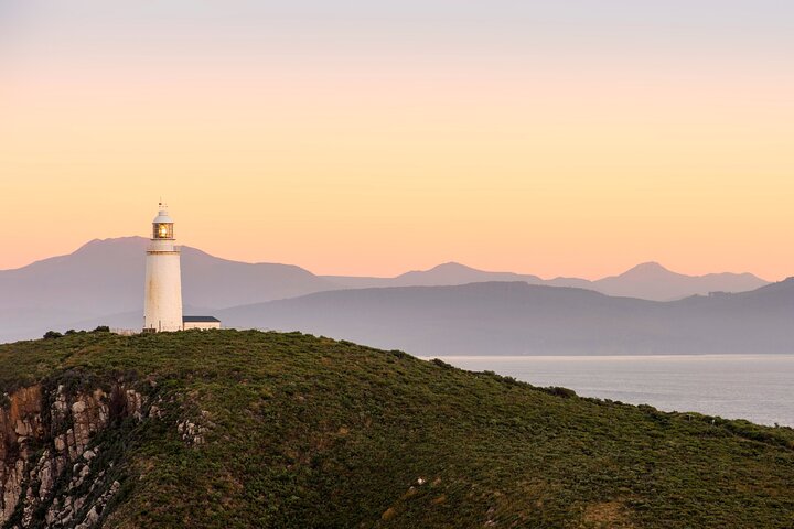All inclusive Private Bruny Island Discovery Tour - Image 1