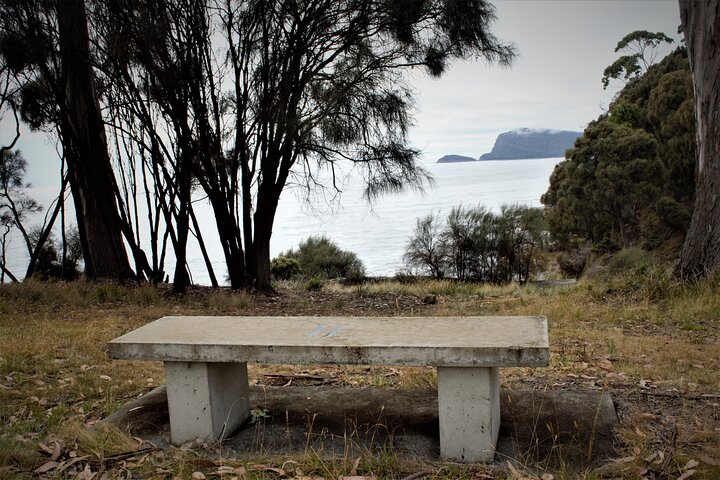 All inclusive Private Bruny Island Discovery Tour - Image 4
