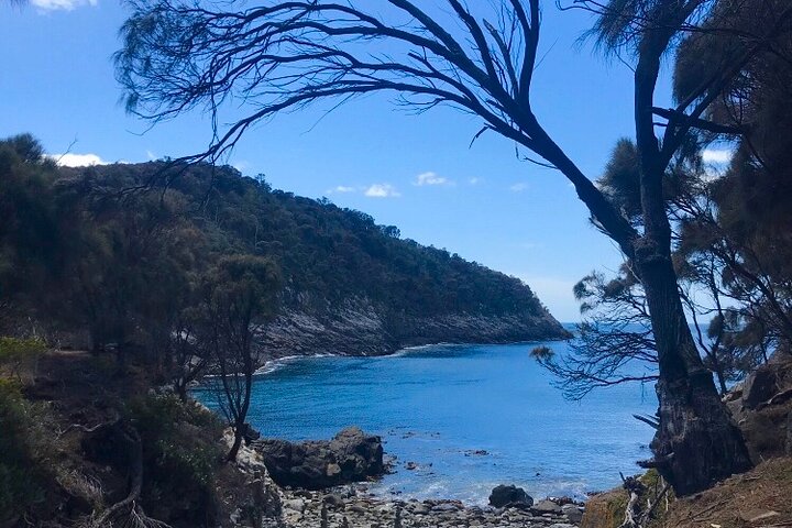 All inclusive Private Bruny Island Discovery Tour - Image 5