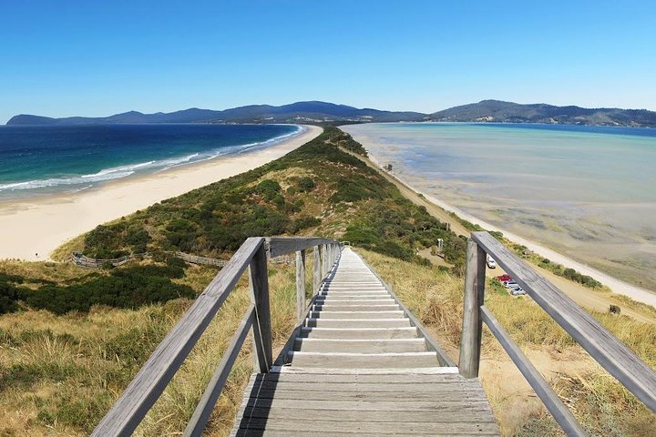 Bruny Island Day Tour Private Charter Service - Image 1
