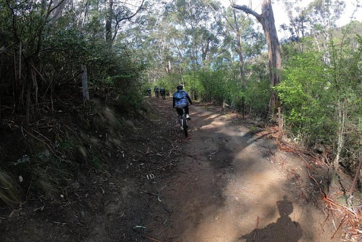 Explore Downhill Mountain in 3-Hour Bike Tour from Hobart - Image 2