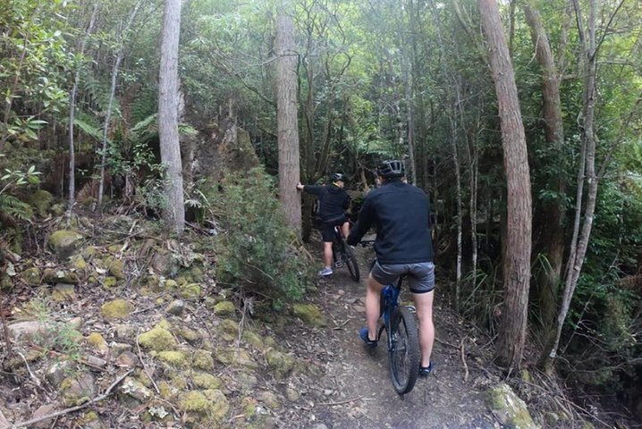 Explore Downhill Mountain in 3-Hour Bike Tour from Hobart - Image 3