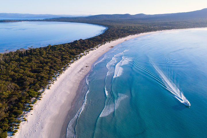 Maria Island Cruise and Guided Walk Day Tour with Lunch and Drinks - Image 1