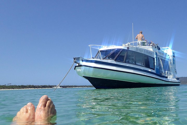 Maria Island Cruise and Guided Walk Day Tour with Lunch and Drinks - Image 2