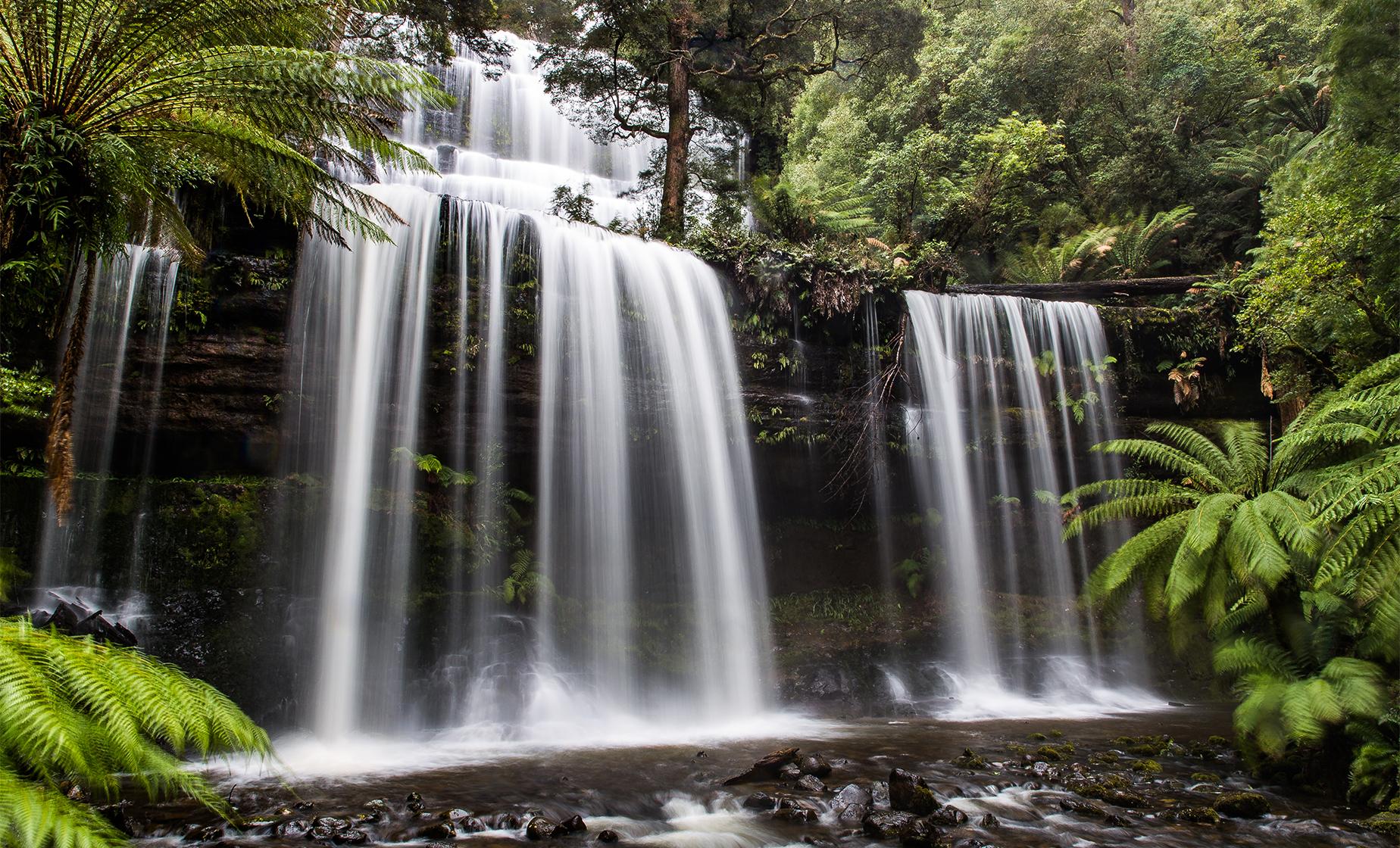 Mt. Field & Bonorong Wildlife Park Adventure - Image 1