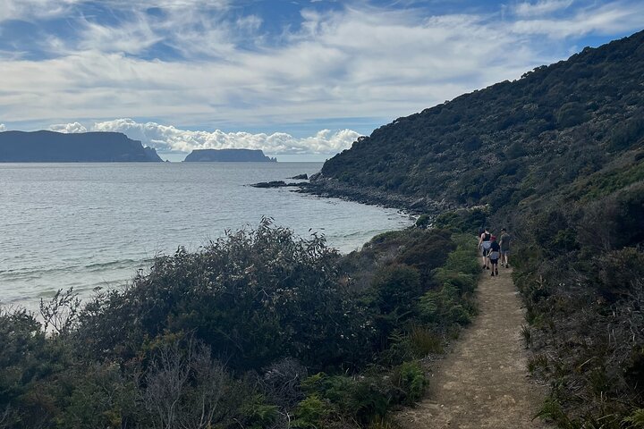 Private Tasman Peninsula Walking Tour - Image 5