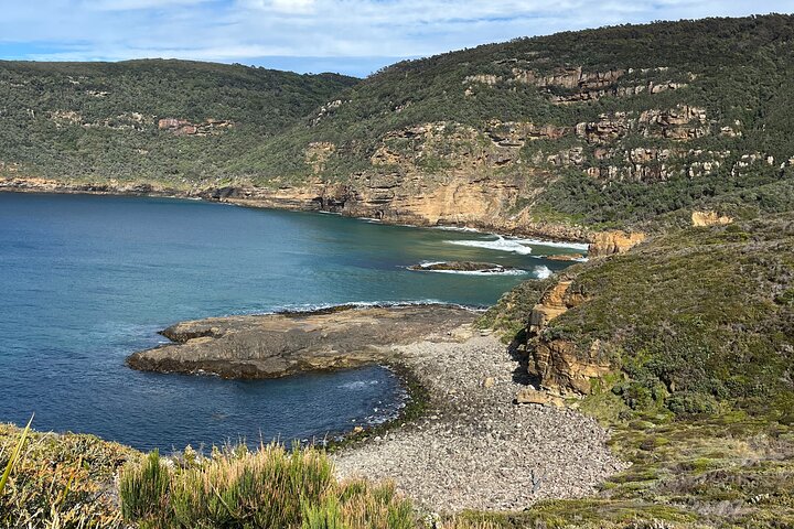 Private Tasman Peninsula Walking Tour - Image 4