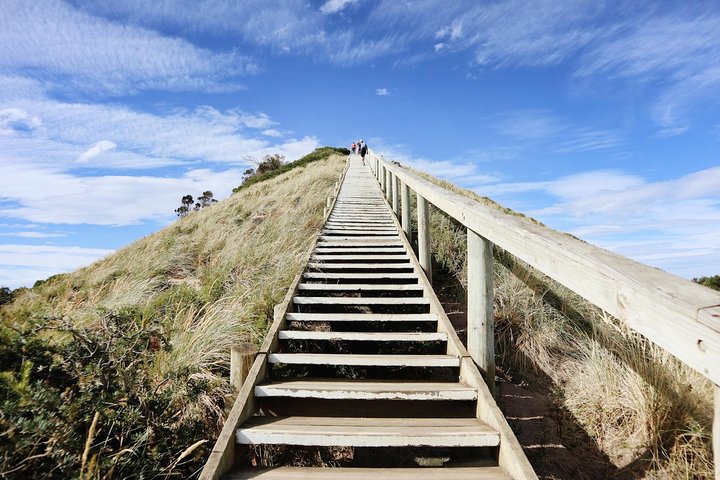 SHORE EXCURSION - Full-Day Guided Bruny Island Tour from Hobart - Image 3