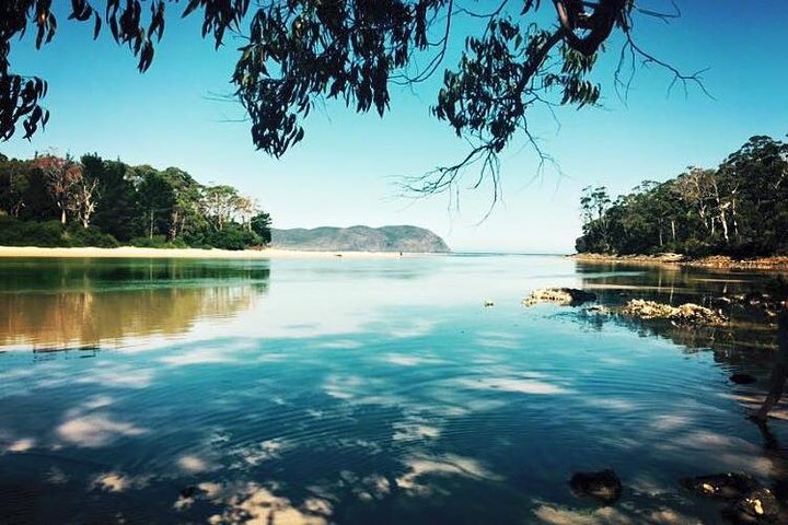 SHORE EXCURSION - Full-Day Guided Bruny Island Tour from Hobart - Image 2