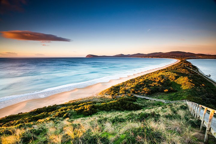 SHORE EXCURSION - Full-Day Guided Bruny Island Tour from Hobart - Image 1