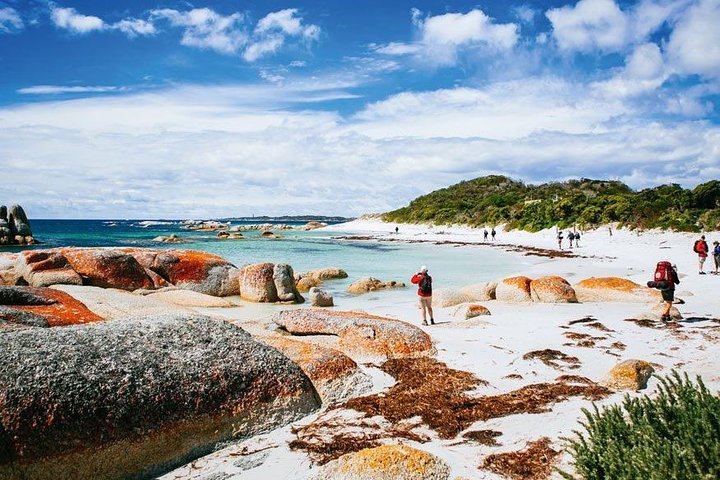 Wineglass Bay Day Tour Private Charter Service - Image 3