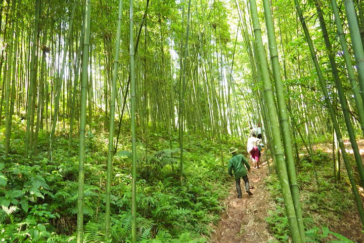 2-day Mai Chau Visit and Da River Boat Trip with round trip from Hanoi - Image 2