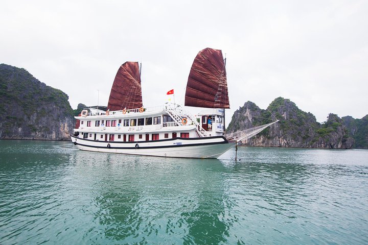 2 Days 1 Night on Swan Cruises visiting Bai Tu Long bay Thien Canh Son cave - Image 2