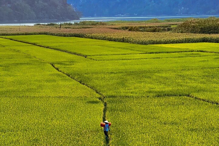 Amazing North VN: Ba Be National Park -Biggest Natural Freshwater - Image 5