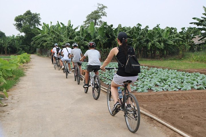 Bicycle City Tour 4 Hours,highlight, Backstreet Alley rural area - Image 5
