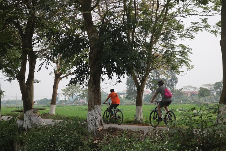 Bicycle Tour Full Day Explore Red River Delta & Rural Villages - Image 4