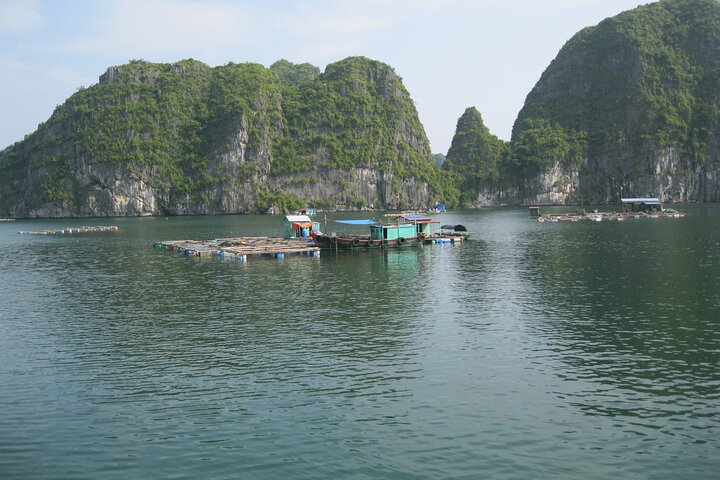 Combo: Bus Ha Noi to Cat Ba + 1 Day Boat Trip, La Ha Bay, Ha Long Bay - Image 4