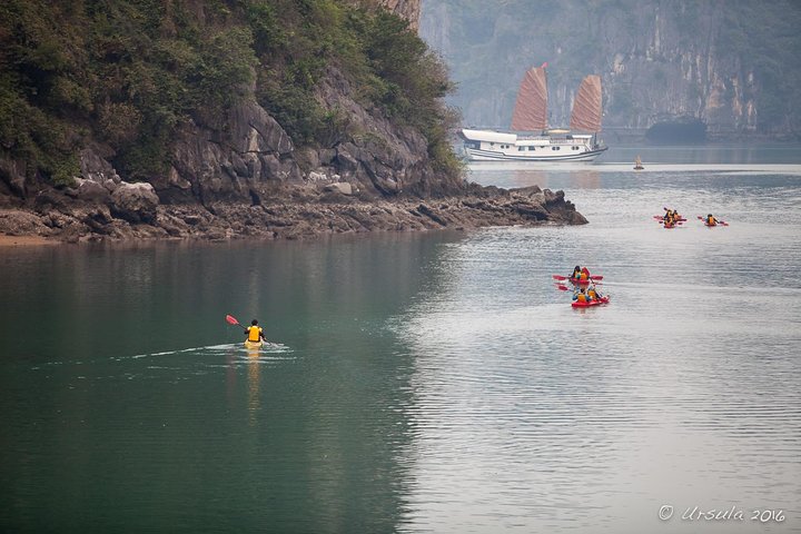 Deluxe Halong Bay 6 Hours Cruise To Visit Surprising Cave And Titop Island  - Image 5
