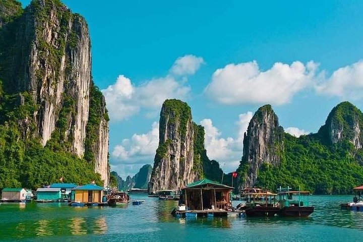 Halong Bay 1 Day Tour with All-Inclusive: Boat, Kayak, Island, Cave and Lunch - Image 4