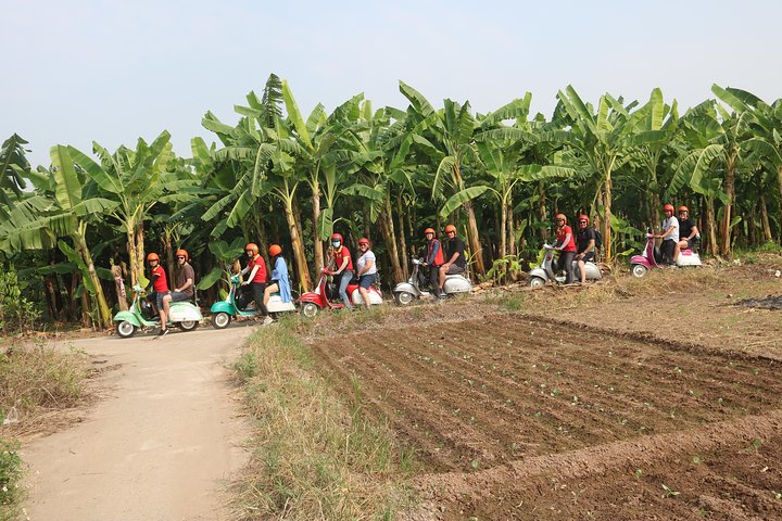 Hanoi Vespa Tour Explore Red River Delta & Rural Villages 5 Hours  - Image 3