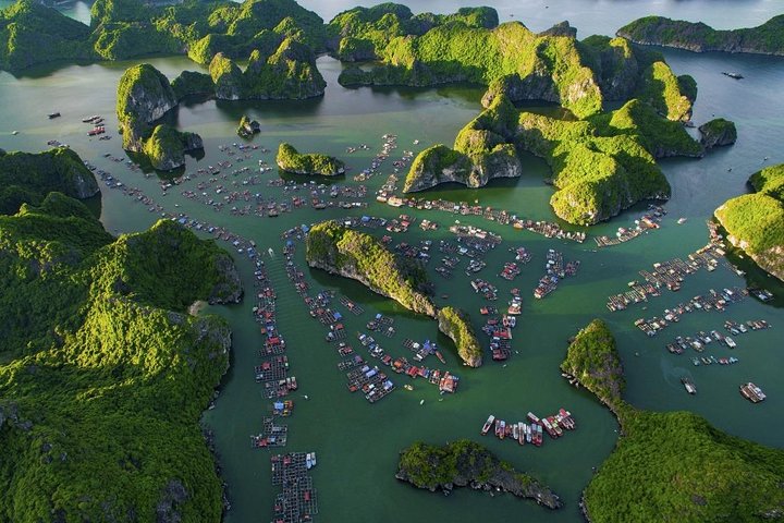 La Pandora 1 Day Cruise( Ha Long,Lan Ha Bay and Cat Ba Island) - Image 2