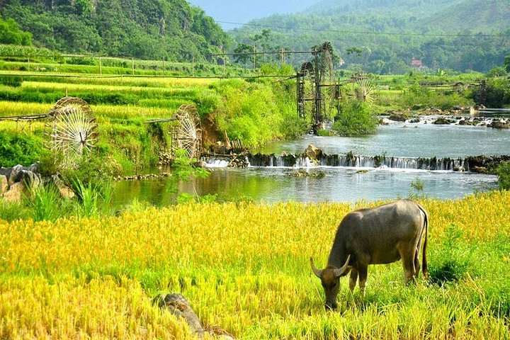 Mai Chau 1 Day Tour From Hanoi - Image 1